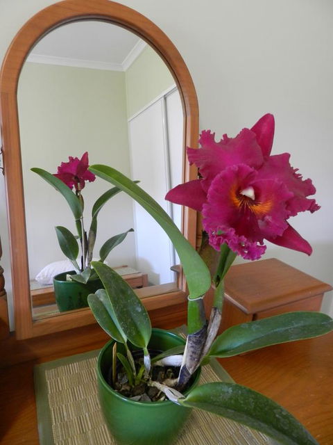 Hay Point Country BnB - Darwin Holiday 10