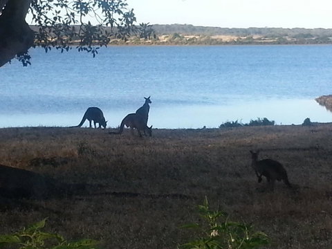 Ratcliff Cottage - Darwin Holiday 2