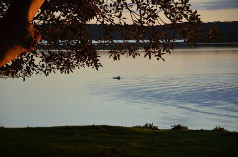 Ratcliff Cottage - Darwin Holiday 11