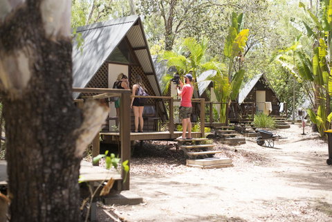 Roamer Magnetic Island Koala Park - Formerly Selina Magnetic Island - Darwin Holiday 6