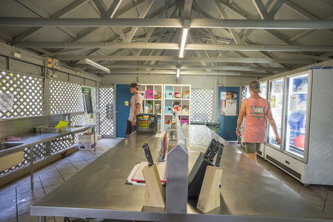 Roamer Magnetic Island Koala Park - Formerly Selina Magnetic Island - Darwin Holiday 28