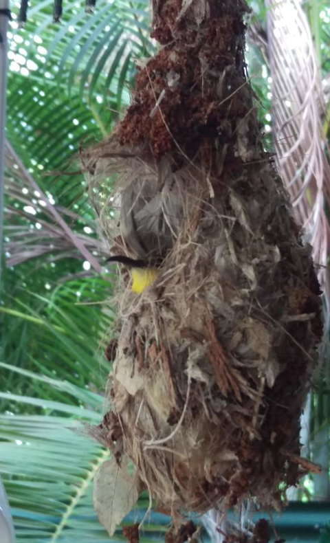 The Mini Manor On Mandalay - Darwin Holiday 15