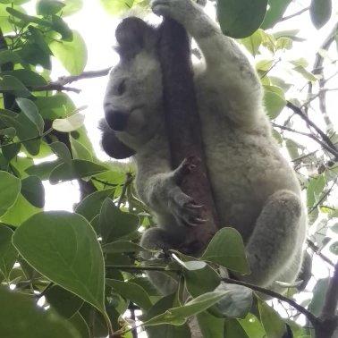 The Mini Manor On Mandalay - Darwin Holiday 5