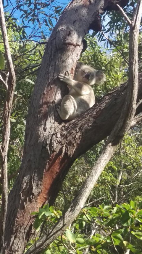 The Mini Manor On Mandalay - Darwin Holiday 10