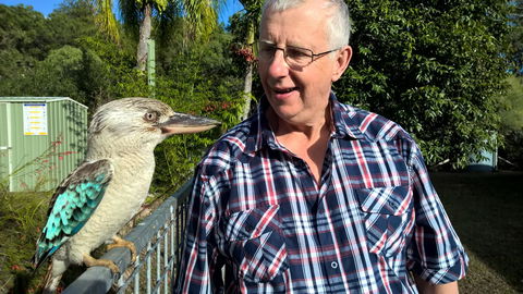 Magnetic Island Bed And Breakfast - Darwin Holiday 33