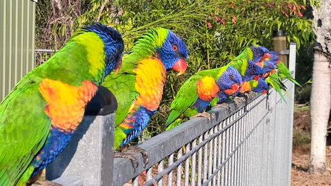 Magnetic Island Bed And Breakfast - Darwin Holiday 6