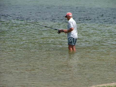 Hampton Cottage- Delightful Cottage Bring Your Dog! - Darwin Holiday 4