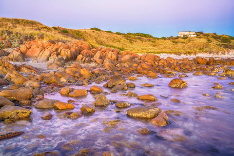 Porky Beach Retreat - King Island Escapes - Darwin Holiday 9