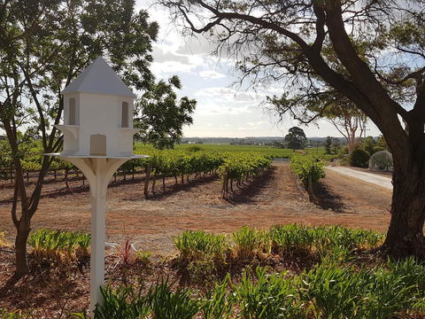 'In The Vines' Guest Cottage, Barossa Valley - Darwin Holiday 0