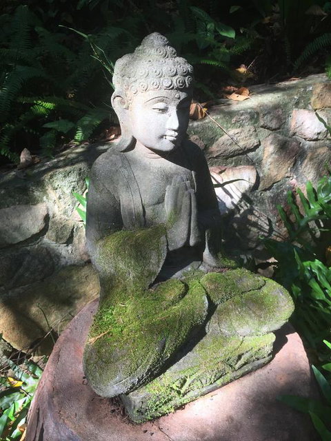 'The Tree House.' Treetop Living Near The Ocean, Coolum Beach, QLD, Australia - Darwin Holiday 0