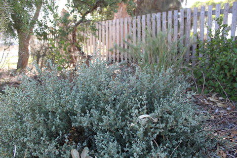 12 Apostles Cottages - Darwin Holiday 2