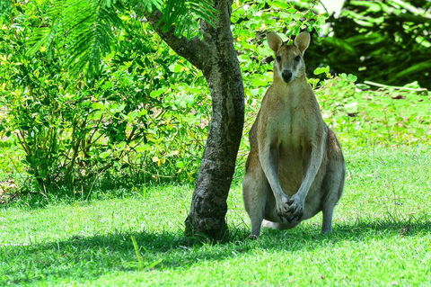 2 Bedroom Poinciana Lodge - Darwin Holiday 1