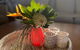 Beachside Escape, Sunshine Beach - thumb 3