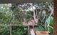 Beachside Haven Free Linen Wi-Fi Netflix Air Con - thumb 1