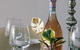 Beautiful Norman Park Apartment - thumb 4