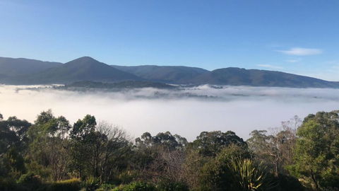 Beauty Of Healesville - Darwin Holiday 3