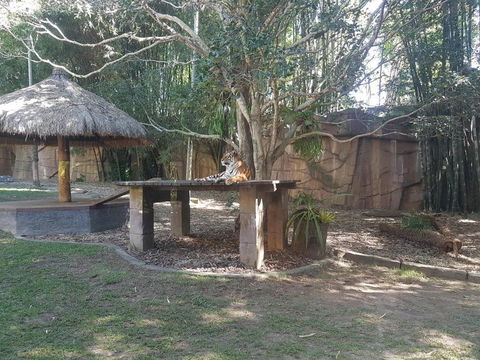 Beerwah House - Darwin Holiday 3
