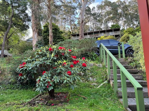 Belgrave Hillside Zen Retreat - Darwin Holiday 4