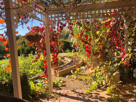 Belkampar Retreat - Authentic Farm Style Home - Perfect For Families And Large Groups! - Darwin Holiday 1