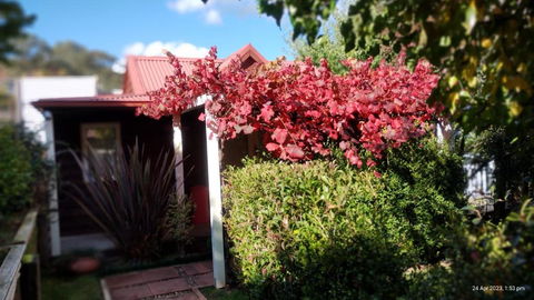 Bella Rouge Cottage - Darwin Holiday 2
