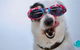 Bellavista - Dog Friendly Family Home. - thumb 4