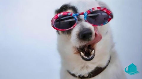 Bellavista - Dog Friendly Family Home. - Darwin Holiday 4