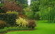 Belleview Bushfield - thumb 1