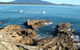 Bermagui Motor Inn - thumb 2