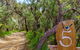 Bimbi Forest Eco Lodge - Denmark - thumb 3