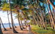 Belle Escapes Villa Latania Palm Cove - thumb 2