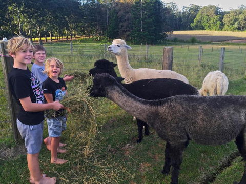 Blackwattle Farm - Darwin Holiday 4