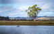 Blackwood Park Cottages Mole Creek - thumb 1