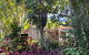 Birdsong Bellingen Farm - thumb 1