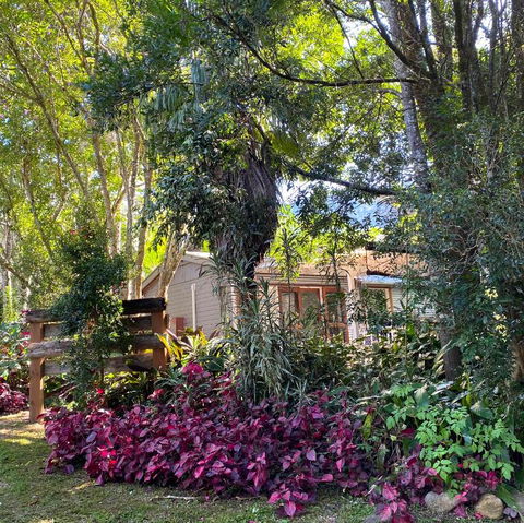 Birdsong Bellingen Farm - Darwin Holiday 1