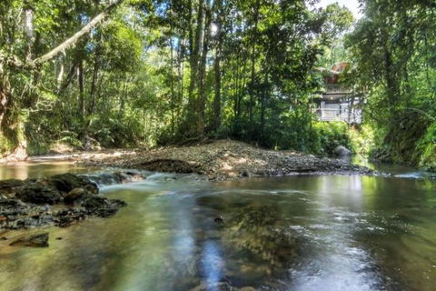 BUTTERFLY BEND - 3 Bedroom Daintree Beach House - Darwin Holiday 2