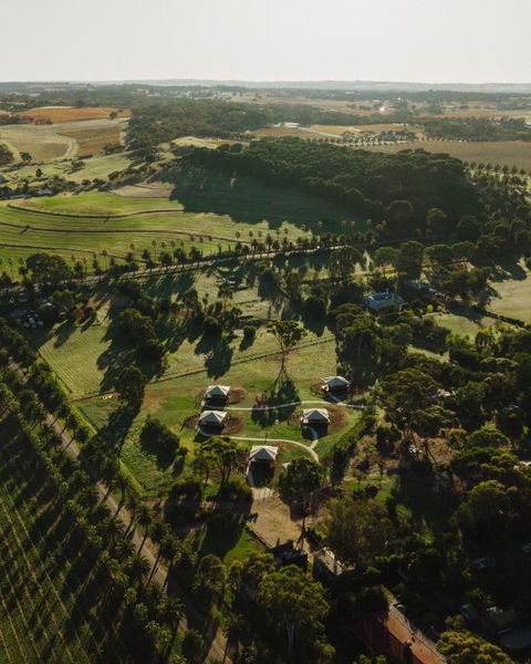 CANVS By CABN Seppeltsfield Barossa - Darwin Holiday 1