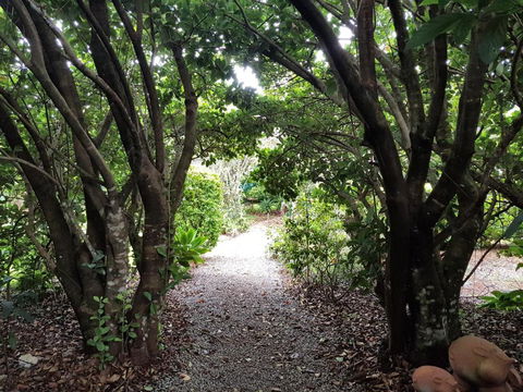 Camelot Boutique Accommodation - Darwin Holiday 0