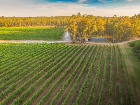 Cape Horn Vineyard 5 Bedroom Riverfront House On Working Vineyard - Darwin Holiday 2