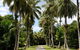Cape Trib Farm - thumb 3