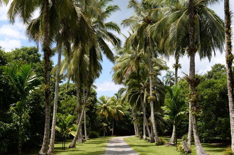Cape Trib Farm - Darwin Holiday 3