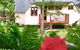 Cape Tribulation Holiday House - thumb 4