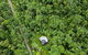 Cape Tribulation Holiday House - thumb 3
