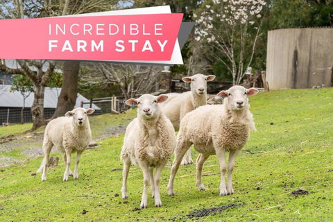 Carawatha On The Range - Unique Farm Stay - Darwin Holiday 0