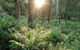 Carinya Park - thumb 4
