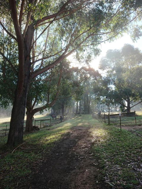 Carinya Park - Darwin Holiday 3