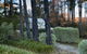 Carramar Coach House, Romantic Falls Retreat - thumb 1