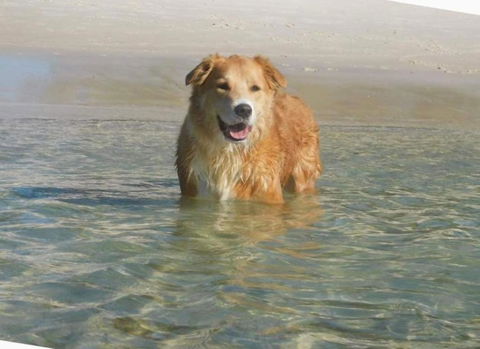 Casa Carinho, 24 Wallawa Rd - Spectacular Water Views, Pet Friendly, Air Con And Wi-Fi - Darwin Holiday 1