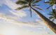 Casa Palma - thumb 4