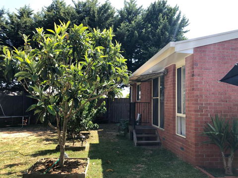 Charlie Sweet Home At Mornington Peninsula - Darwin Holiday 2