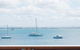 Castaways Unit 4 17 Shoal Bay Road - thumb 2